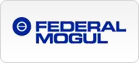 Federal Mogul